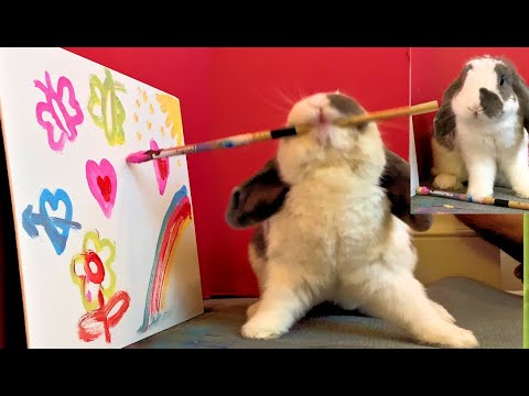 Bunny Paints to express his Moods - must watch til the end