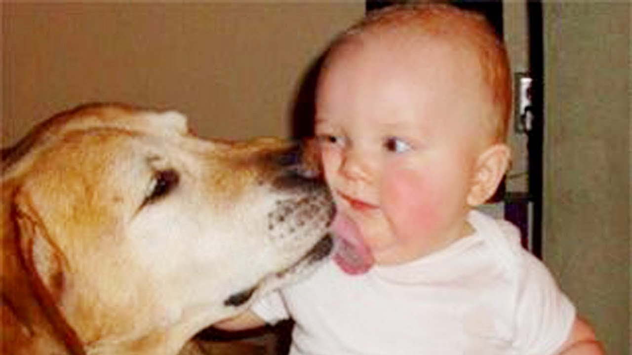 Funny Babies Playing with Dog - Funny Baby and Pets