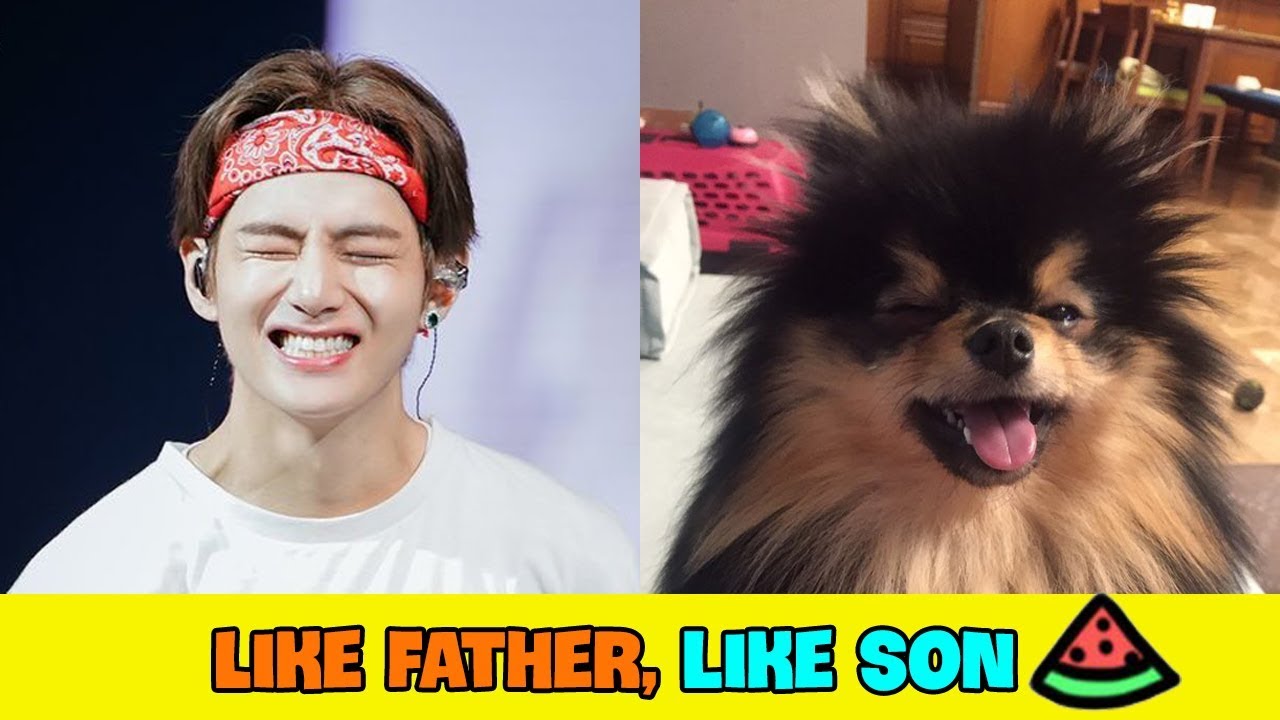BTS Taehyung & Yeontan Cute Moments - Like Father, Like Son
