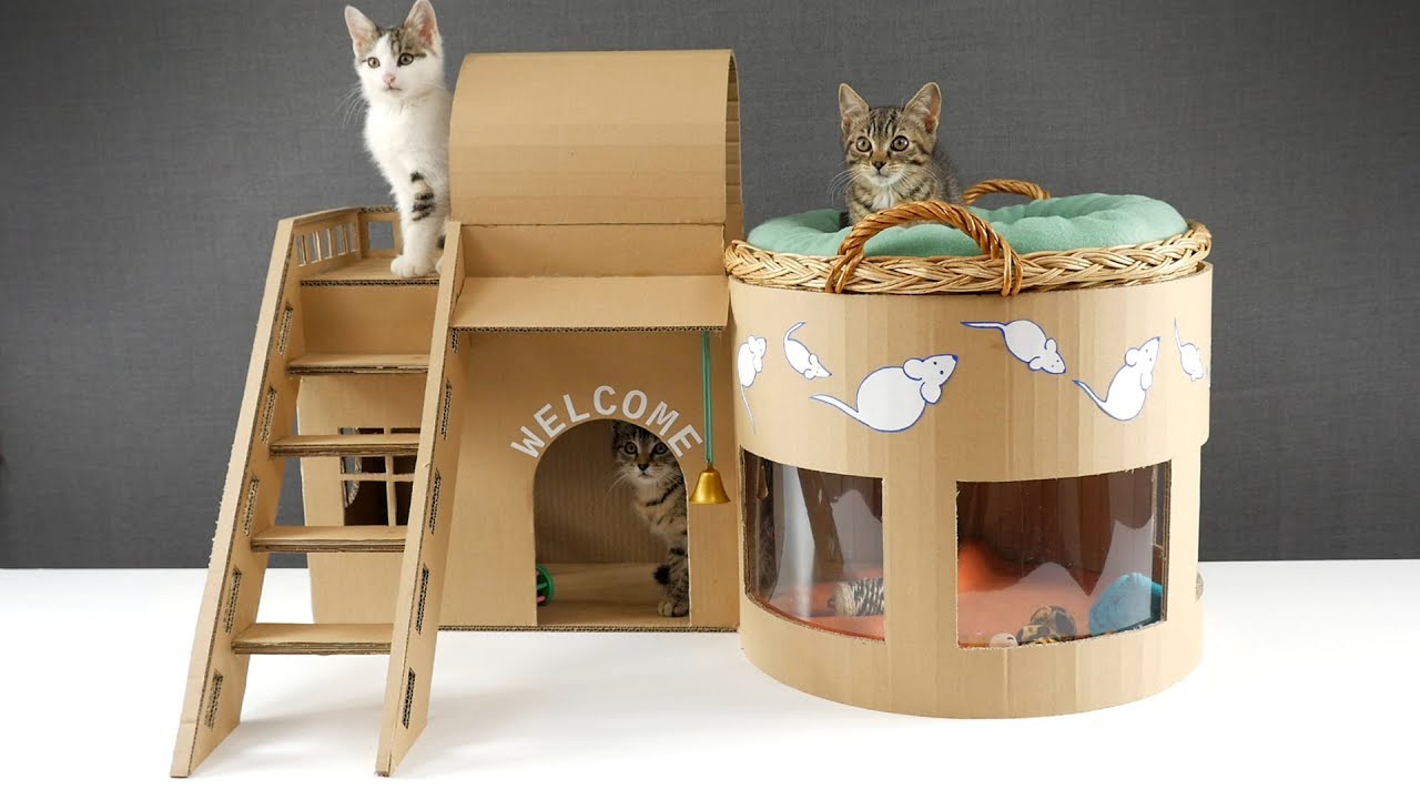 🐈How to make Amazing Kitten Cat Pet House from Cardboard