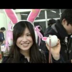 Cute Remote Controlled Bunny Ears.