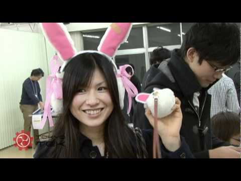 Cute Remote Controlled Bunny Ears.