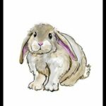 Cute rabbit iPad drawing Time-Lapse procreate