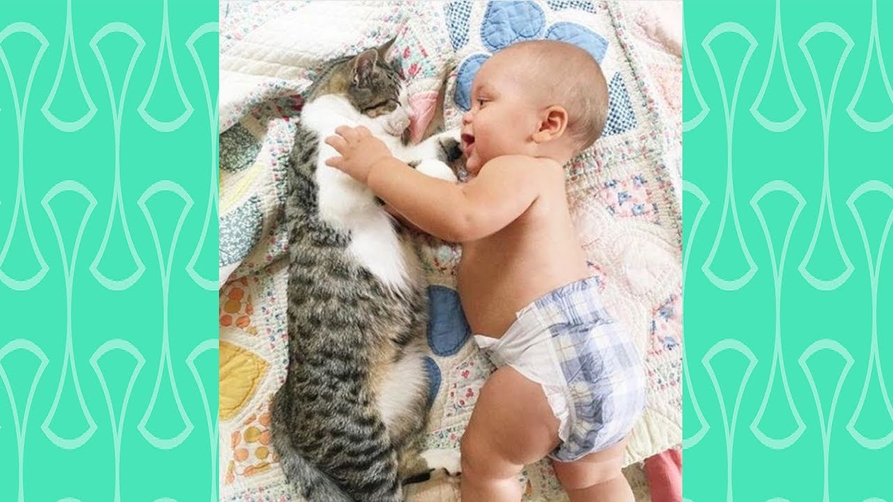 Happy Babies have fun a long day with Cat 😺👶  Cute Babies and Cats Video