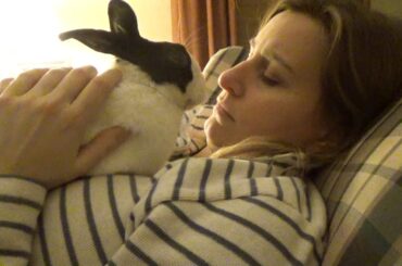 Rabbit sneezes in girl's face