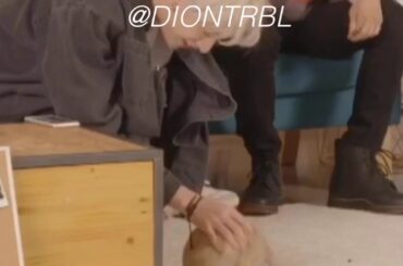 stray kids chillin w/ bunnies for 3 minutes and 40 seconds straight.