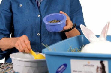 How to Help an Overweight Rabbit | Pet Rabbits