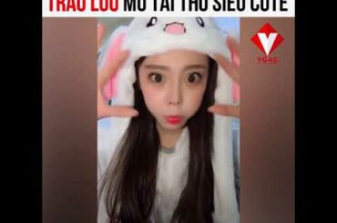 VGAG | Trào lưu mũ tai thỏ siêu cute