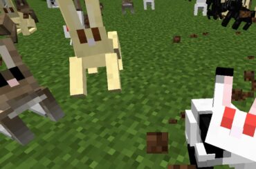 CUTE BUNNY RABBITS! | Noobcraft | Part 6