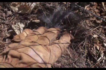 Abandoned Baby Cottontail Rabbit Rescue