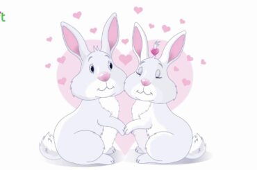 Love background cute rabbit couple hearts decor