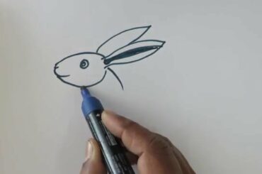 easy steps to draw rabbit