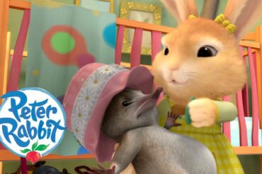 Peter Rabbit - Cottontails Cutest Moments  | Cartoons for Kids
