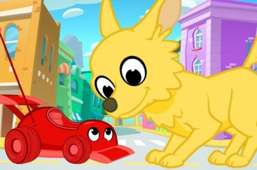 Giant Cute Animals And Morphle - My Magic Pet Morphle Videos For Kids