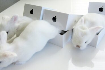 Shocking iPhone 7 Unboxing Surprise!