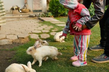Khargosh || Rabbit Video || Cute Kids and Rabbits || खरगोश
