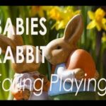 Babies Rabbit |Cute bunnies playing and eating