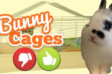 How To Pick A Rabbit Cage & Review Of Top 10 Bunny Cages