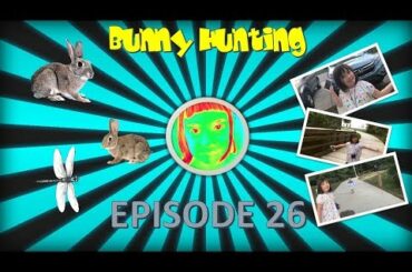 Cute Kat Fun Time   Bunny hunting, creepy spider and kamikaze dragonflies