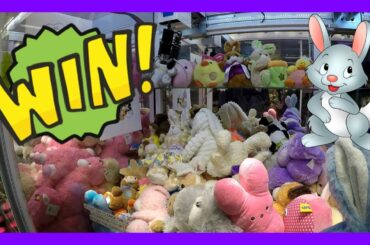 CUTE BUNNY PLUSH WINS