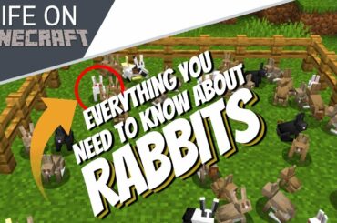 Everything About Rabbits in Minecraft: Killer Bunny + All You Need to Know about Rabbits (Avomance)