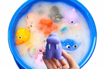 Ostrich,sea lion,rabbit,educational animal toys in bubble. Learn animals and colors