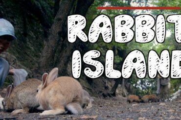 Visiting Okunoshima - Japan's Famous Rabbit Island