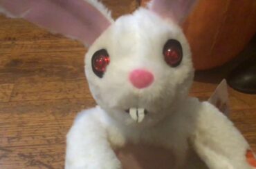 PAC Menard's 2019 Tricycle Rabbit