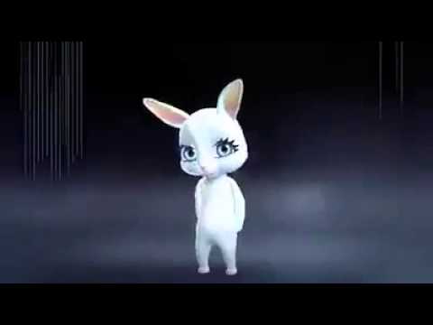 cute rabbit talking