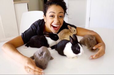 HER FAVORITE SURPRISE EVER!!