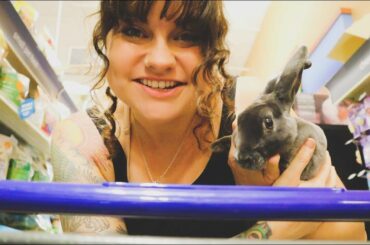 Why Do I Have This Rabbit in Public? | VLOG | Roots and Refuge Farm