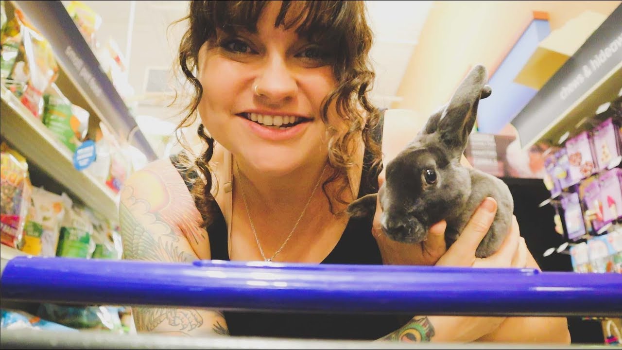 Why Do I Have This Rabbit in Public? | VLOG | Roots and Refuge Farm