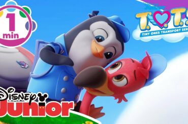 T.O.T.S. | Bringing This Baby Home Music Video 🎶 | Disney Junior UK