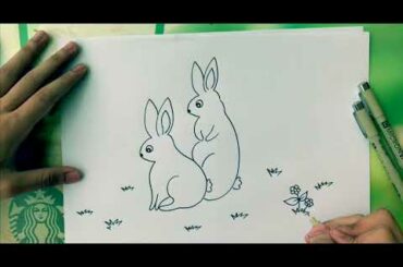 How to draw rabbit - easy drawing