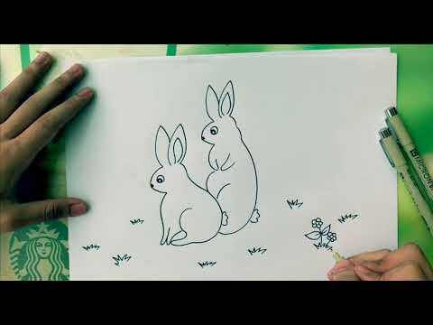 How to draw rabbit - easy drawing