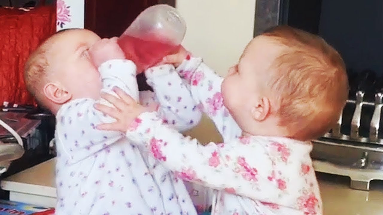 Top Cute Babies and Family - Cute Baby Videos