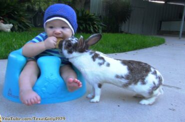 Life's rough Kid... Bunny Steals Baby’s RITZ Cracker | TexasGirly1979