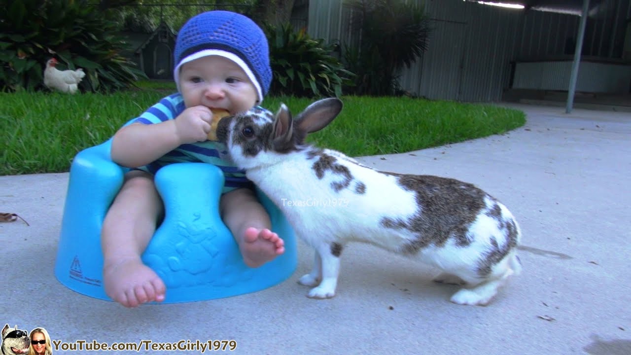 Life's rough Kid... Bunny Steals Baby’s RITZ Cracker | TexasGirly1979