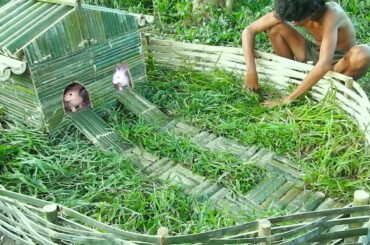 Rescue & Collect Abandoned Rabbits To Build Bamboo Rabbit House