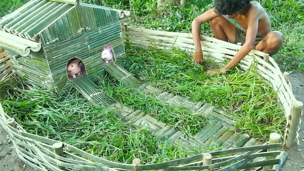 Rescue & Collect Abandoned Rabbits To Build Bamboo Rabbit House