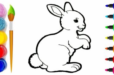 How To Draw and Coloring Rabbit So Cute - Teach Baby Draw and Creative With Animals