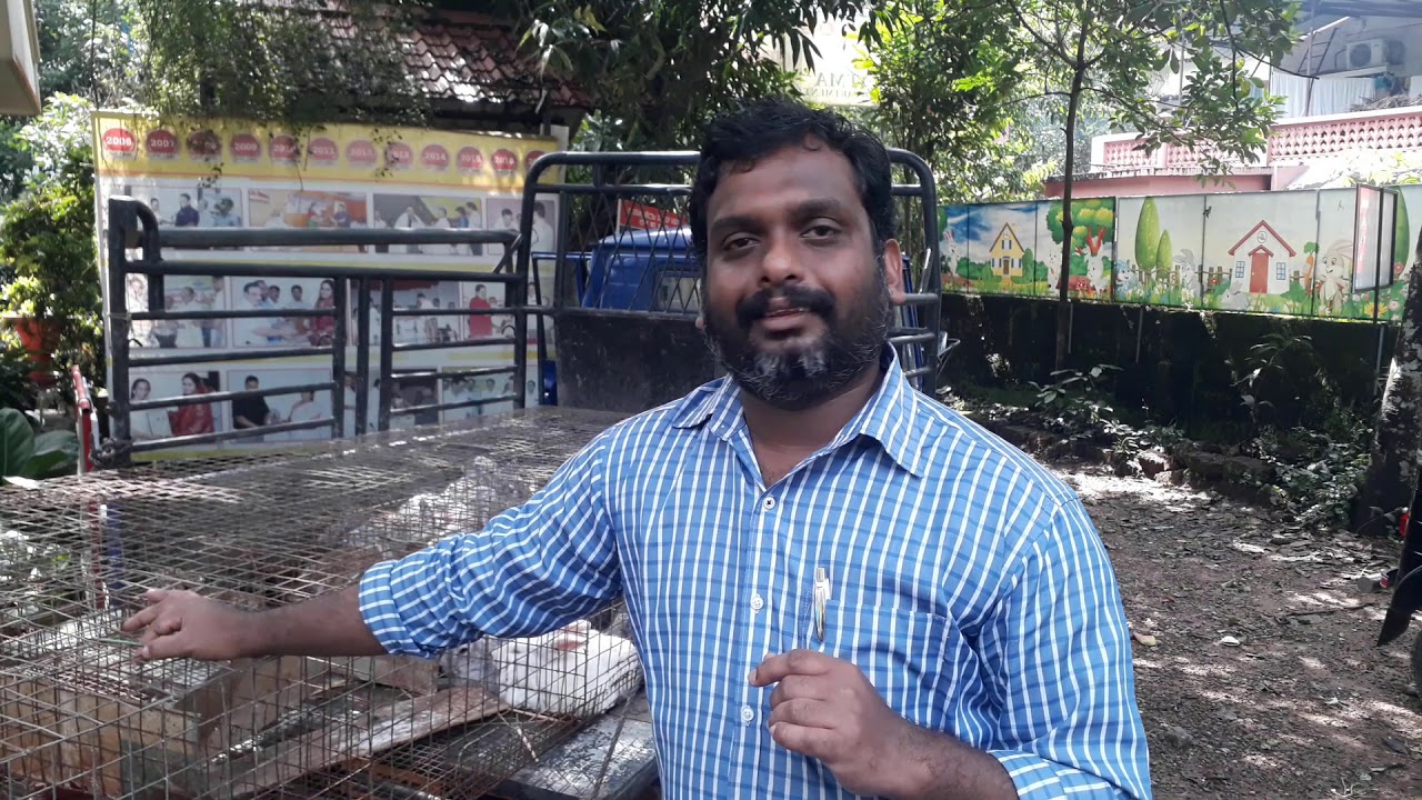Dr.Migdad Ashiyana Rabbit farm # 633  ആഷിയാന മുയൽ ഫാം Sri.Hajeesh  Master (Rabbit's buy back)