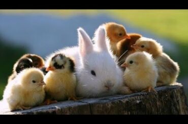 omg 😍!! how cute they are 😍😍