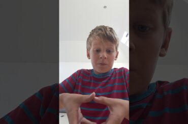 🐇 Rabbit Care | How to hold your baby bunnies