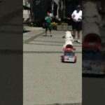 Cute Dog Rides Electric Scooter on Street Outside Mall - 1053546