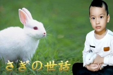 うさぎの世話 Take Care of rabbit part 01 - Cute Bunny - おはぎ(うさぎ)日記