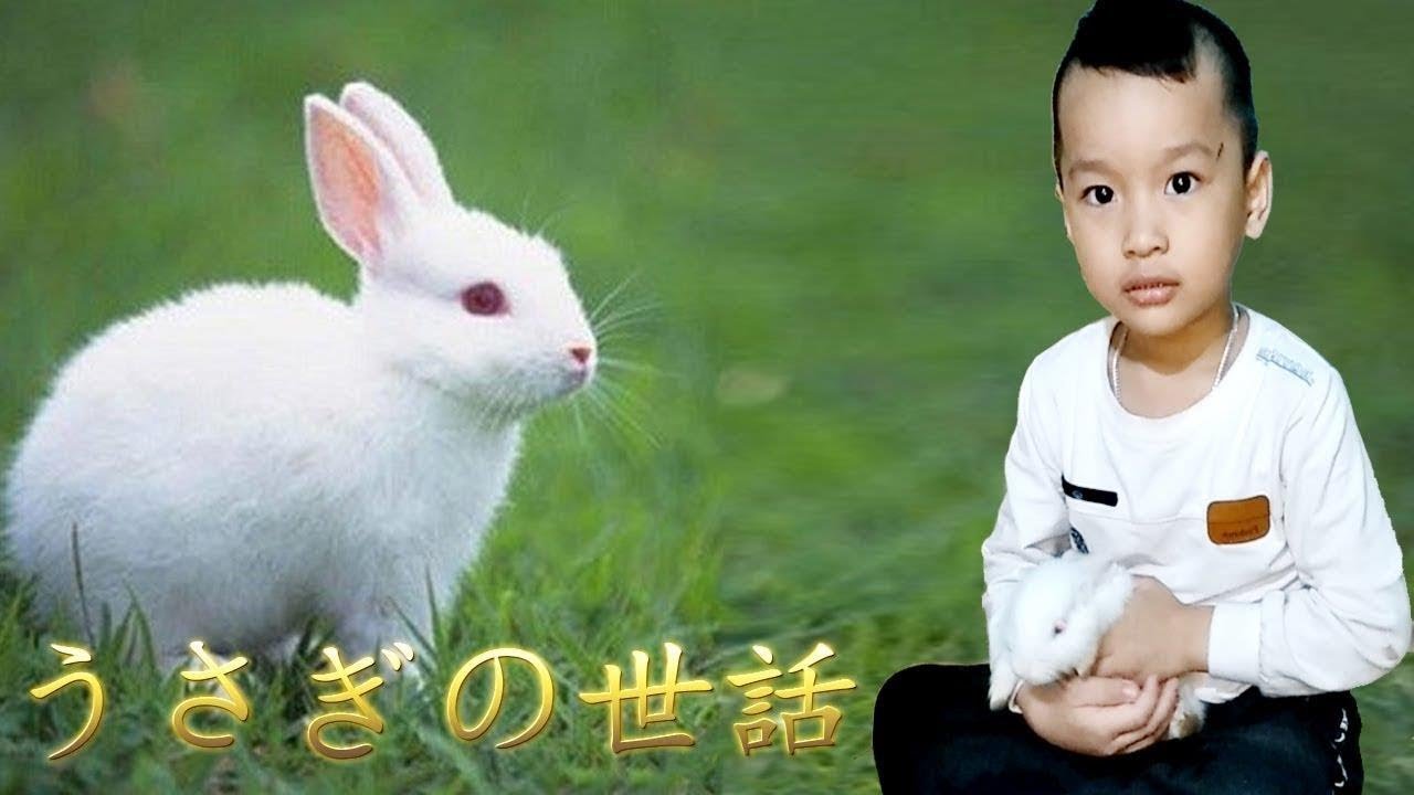 うさぎの世話 Take Care of rabbit part 01 - Cute Bunny - おはぎ(うさぎ)日記