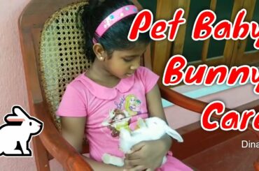 How to Take Care of a Baby Bunny 🐰🐇 Pet Baby Bunny