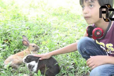 Rabbit-A Funny And Cute baby Videos Compilation-Funny And Cute Bunny Rabbit  in my yard|Animals zon