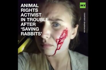 Vegan activist claims being attacked by farmers after ‘rescuing’ 16 rabbits